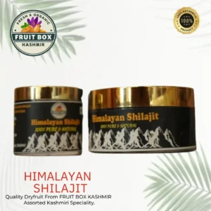 Himalayan Shilajit
