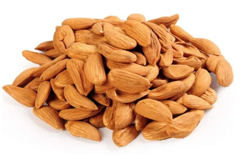 premium kashmiri Mamra Almonds